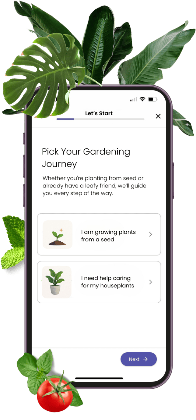 App screen